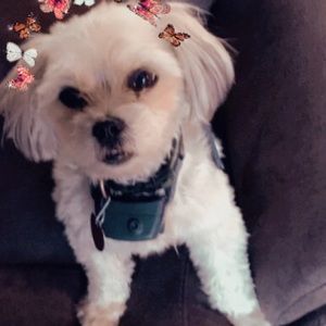 Meet your Posher, Harper